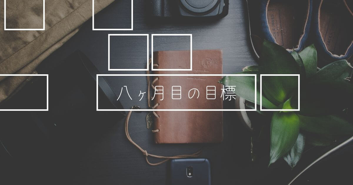 【Wordpress】雑記ブログ運営8ヶ月目の目標