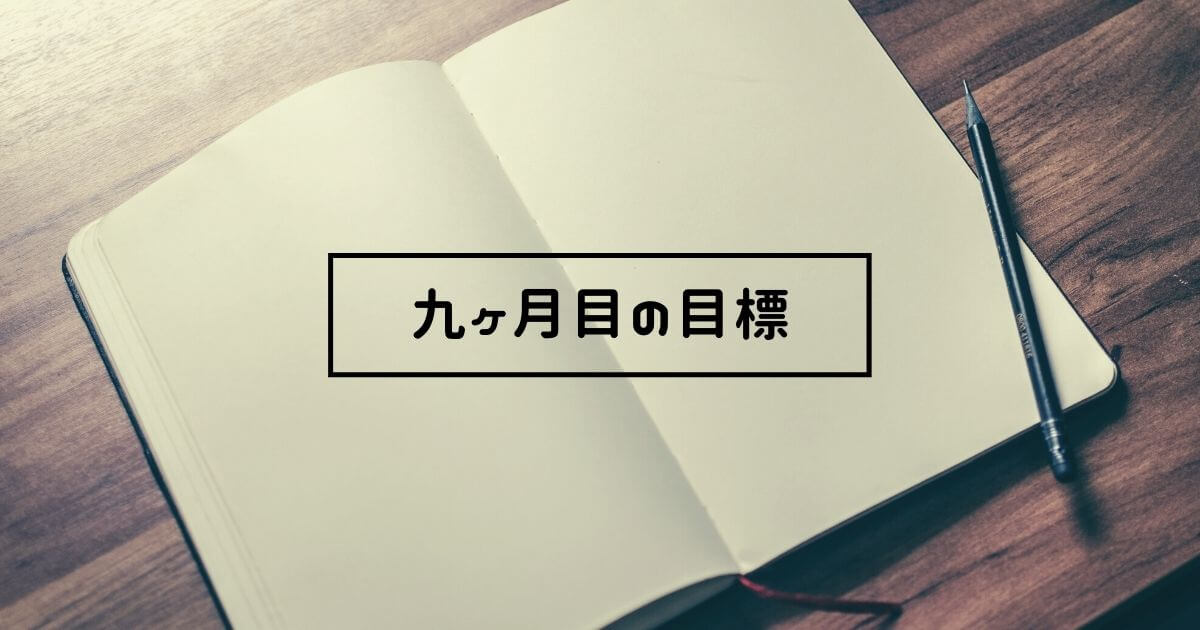 ブログ運営 9ヶ月目の目標
