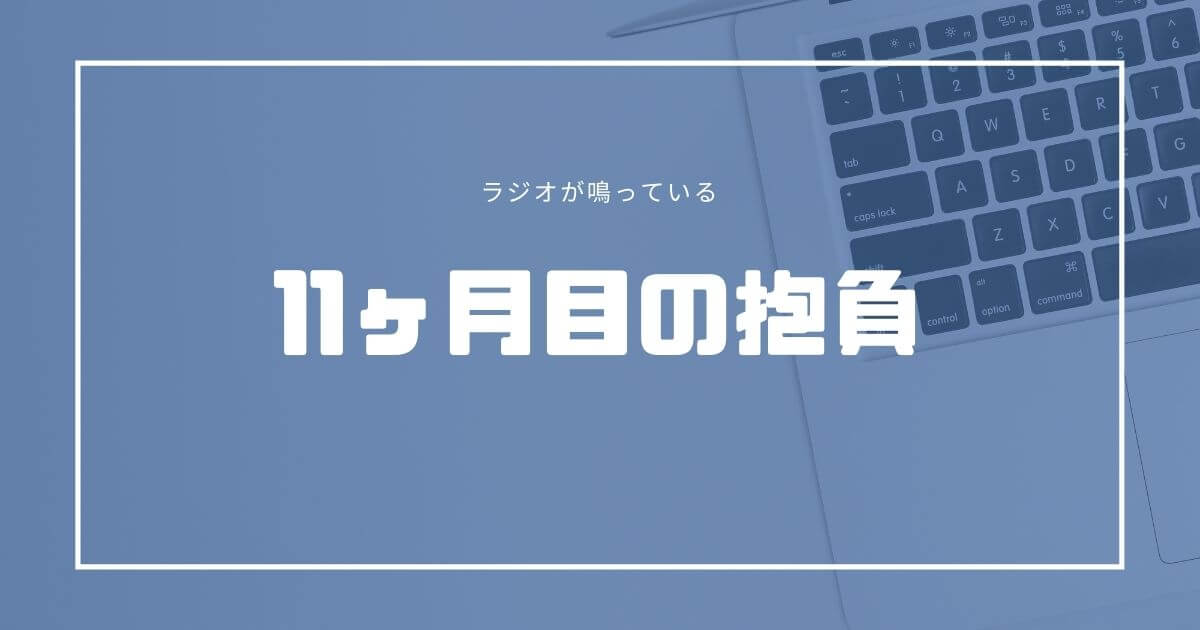 ブログ運営 11ヶ月目の抱負