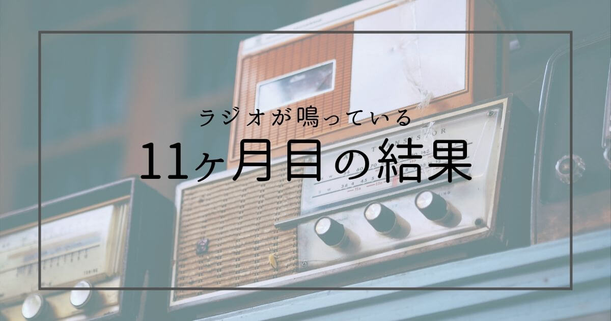 【Wordpress】雑記ブログ運営11ヶ月目の結果