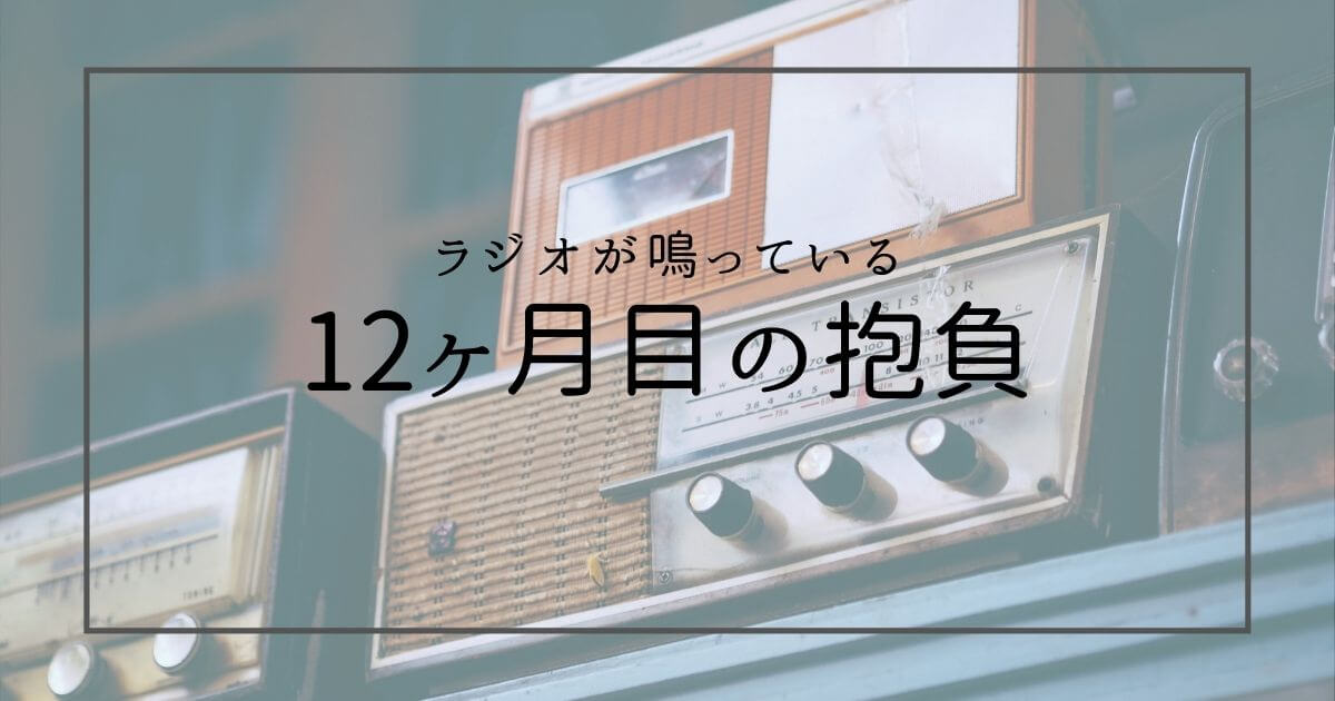 ブログ運営 12ヶ月目の抱負